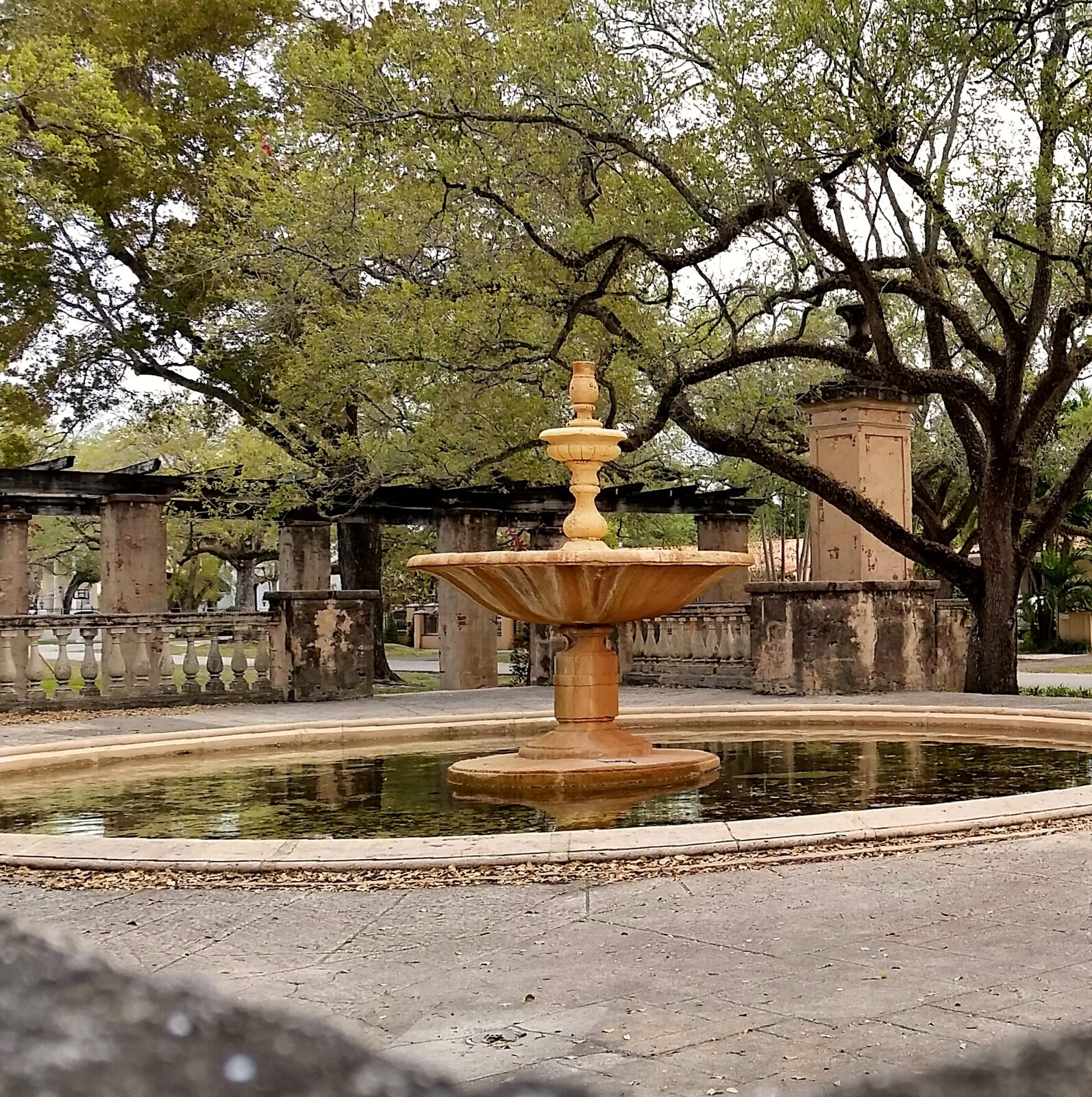 The Coral Gables Prado Entrance is another historic site that is a favorite for photographers and couples looking for a romantic setting for their engagement photos.