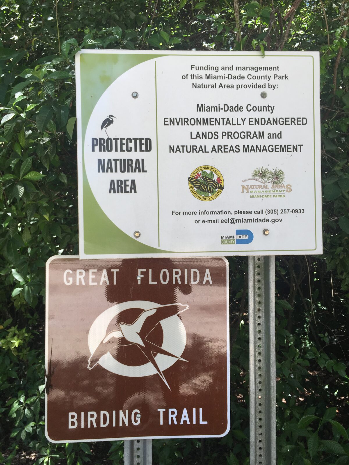 Coral Gables secret nature trail and dog park. Click to read more or pin and save for later!