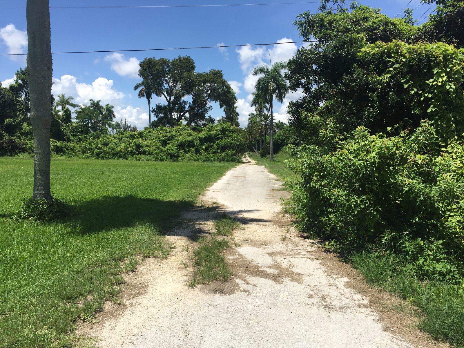 Coral Gables secret nature trail and dog park. Click to read more or pin and save for later!