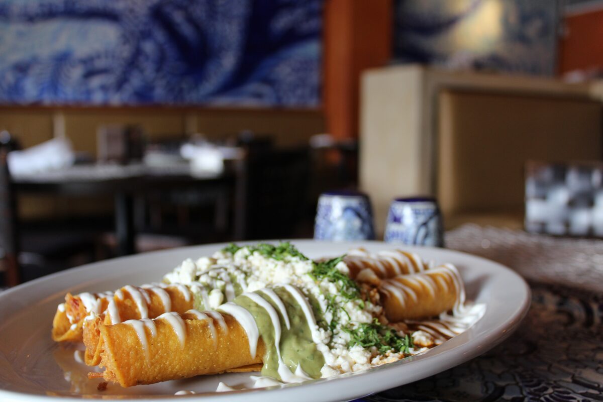Talavera Coral Gables Chicken Flautas