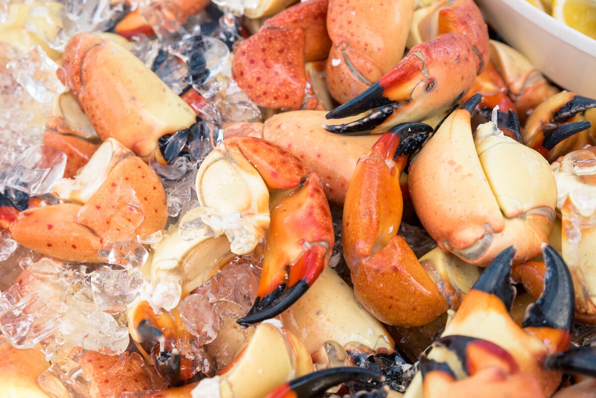 The South Beach Seafood Festival always take place on Miami beach in October. Use promo code CGLOVE20 for 20% off your ticket price.
