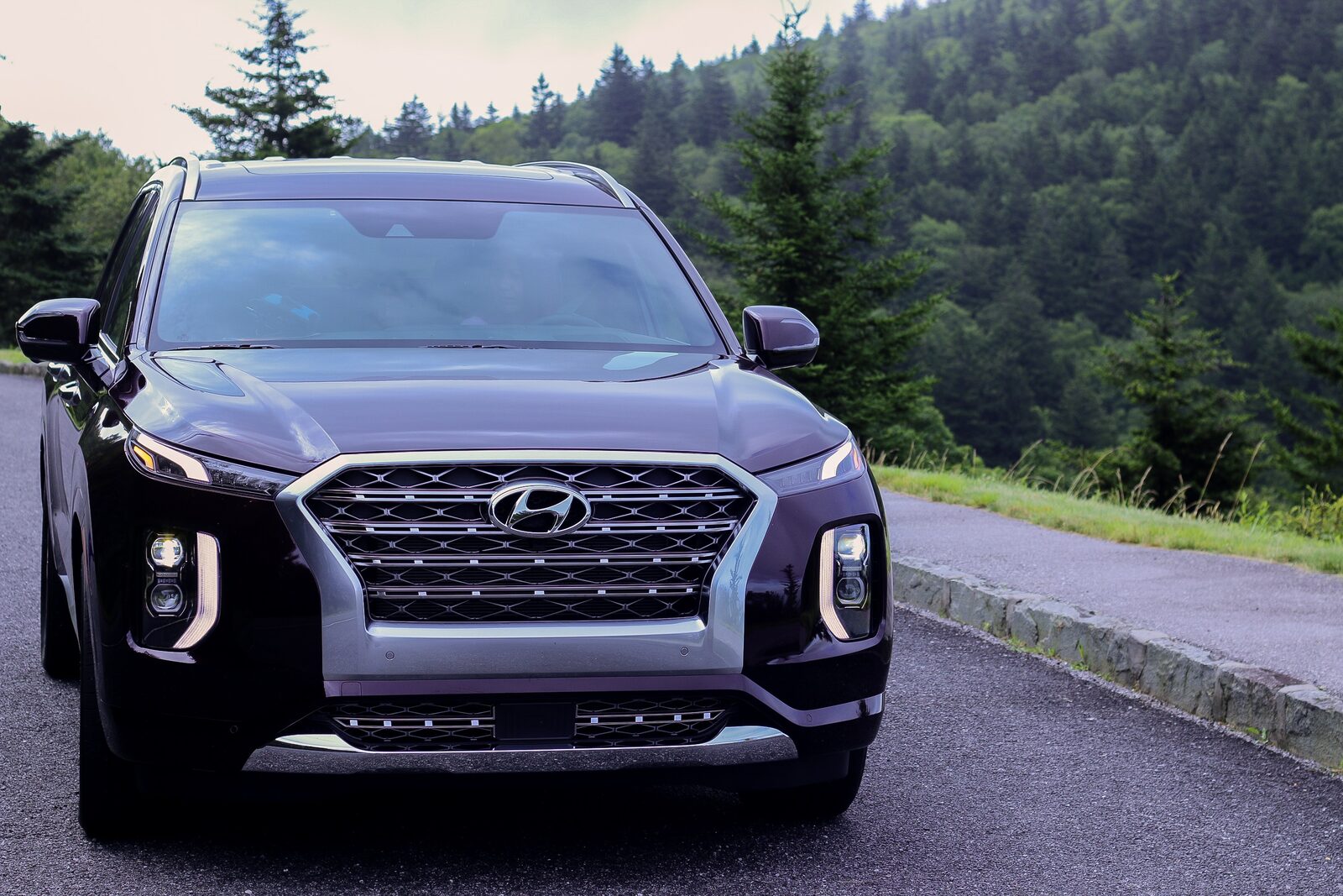 Asheville North Carolina Travel Guide Blueridge Mountains drive in 2020 Hyundai Palisade