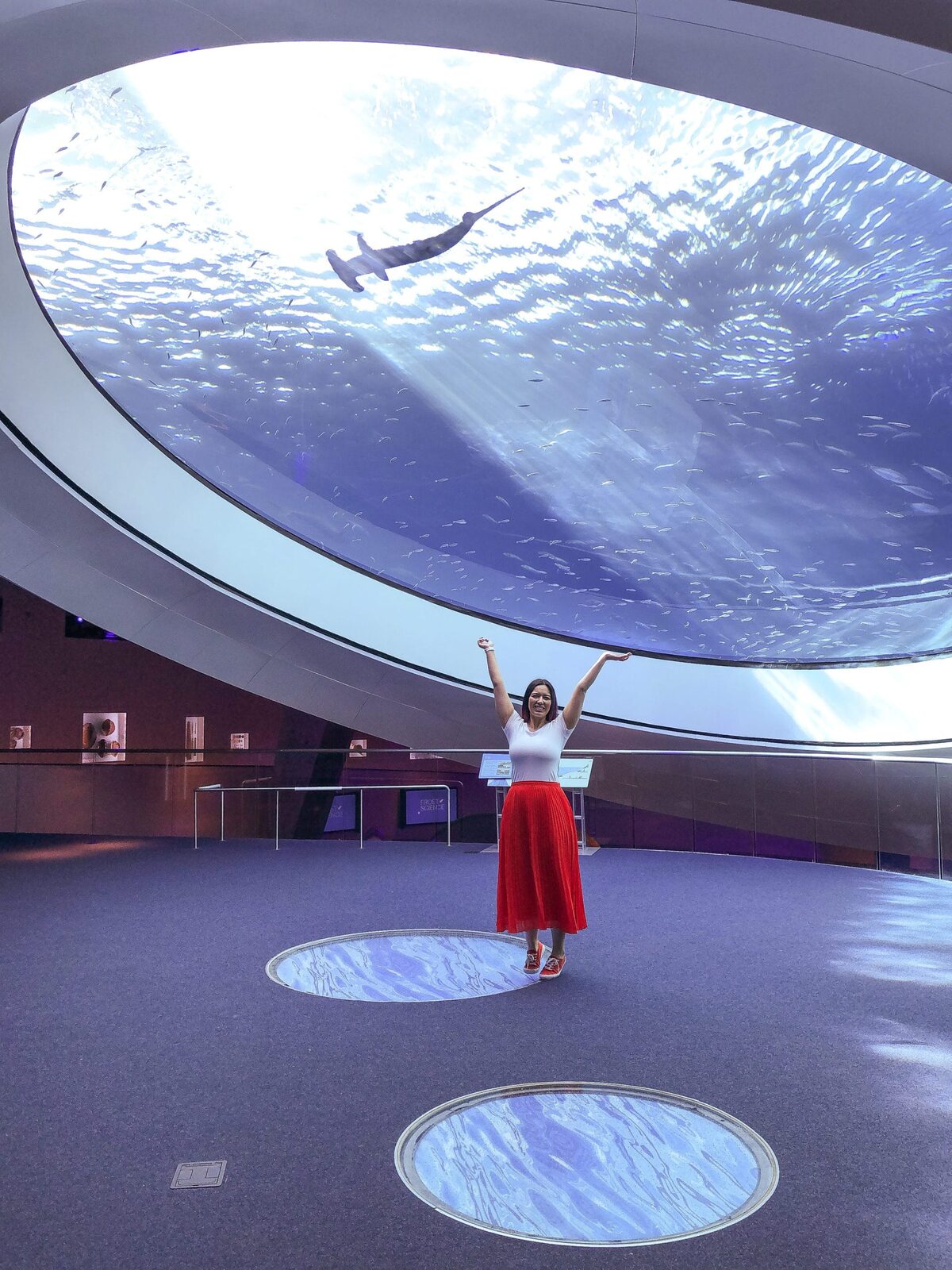 Frost Science Museum Aquarium with Hammerhead Sharks