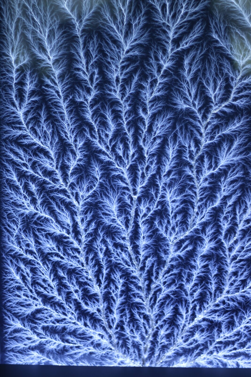 Frost Science Museum Park Miami - Patterns exhibit