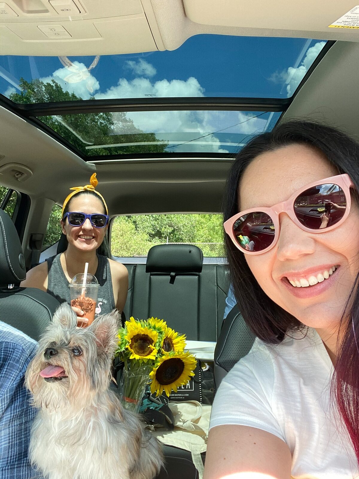 Fun Things To Do in Homestead, Florida - Have a car picnic at Robert Is Here fruit stand