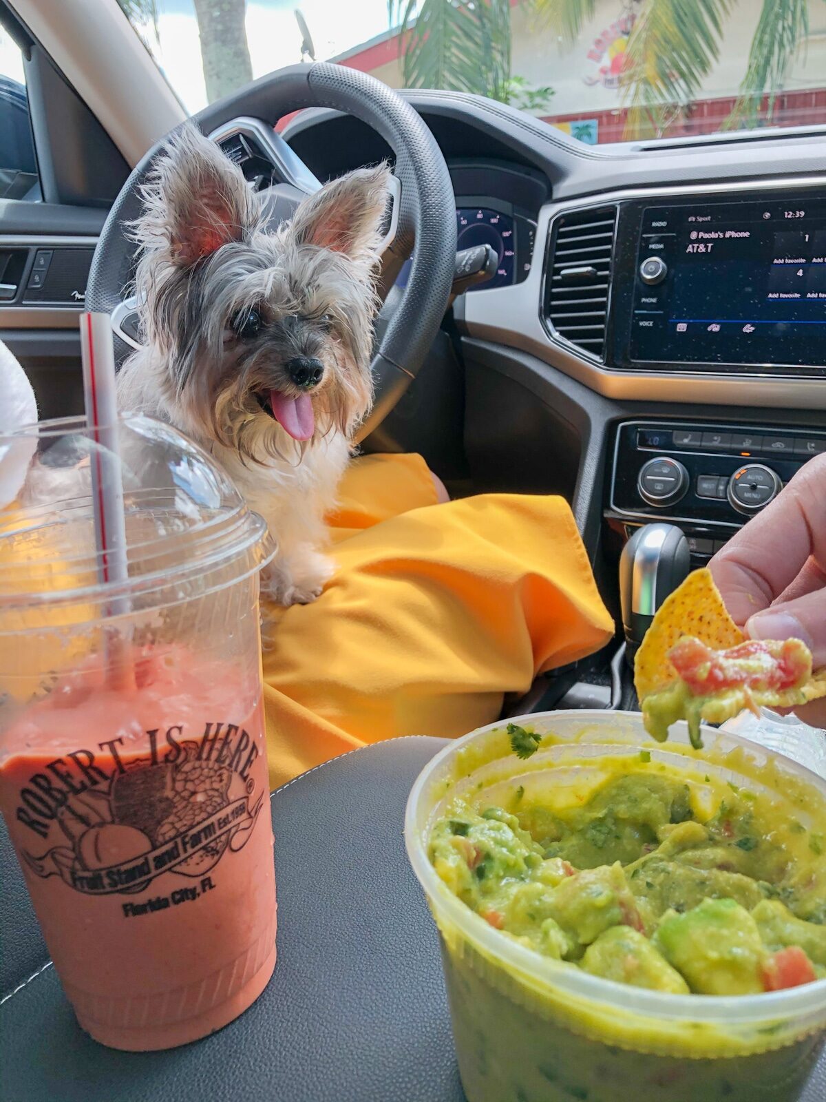Fun Things To Do in Homestead, Florida - Have a car picnic at Robert Is Here fruit stand. Guacamole and chips with a fruit Milkshake